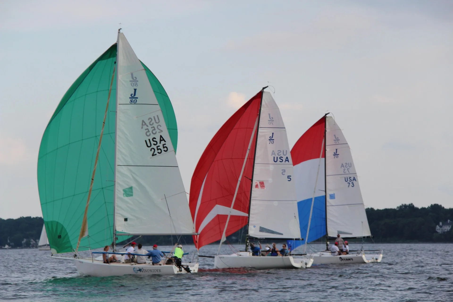 Three sailboats on the water in Annapolis